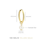 Delia Crest Earrings | Gold